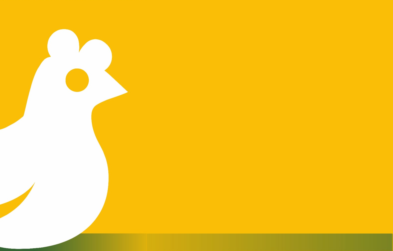 White dove on a yellow background